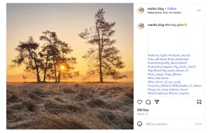 معرفی عکاسان موبایل: 10 چهره الهامبخش و برتر